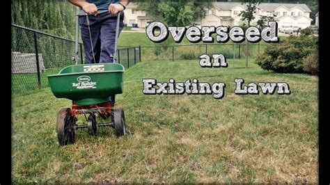 How to overseed a lawn. Things To Know About How to overseed a lawn. 